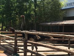 -瑞博尔花园酒店(太周创新产业园店)