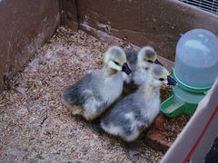 -细村农贸综合市场