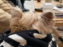 -小龍鳳餐室(番禺路店)