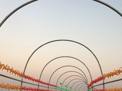 -洪湖湿地生态园
