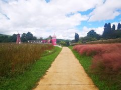 -名花谷生态庄园