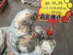 -蚝专家(北滘店)