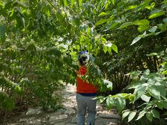 -天津东丽湖风景区