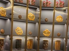 -阿五黄河大鲤鱼(纬三路店)