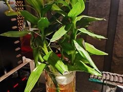 -江南足纪·影院足道·轻奢SPA(笋岗HALO广场店)