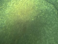 -白鹤梁水下博物馆