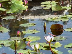 -龙环葡韵住宅式博物馆