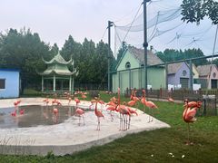 -秦皇岛野生动物园