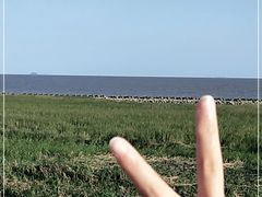 -南汇嘴观海公园