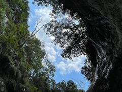 -祁门牯牛降观音堂风景区