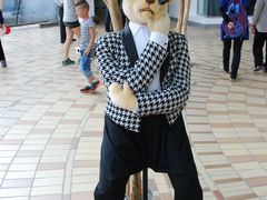 -济州岛泰迪熊博物馆