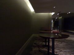 -上海松江假日酒店