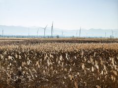 -野鸭湖国家湿地公园