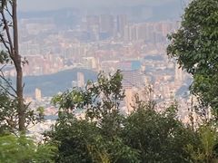 -阳台山森林公园