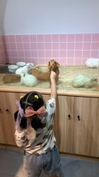 -Moni星球萌宠·小马宝莉·灵蛇·高端高阶全萌宠互动体验俱乐部(红豆国际广场店)