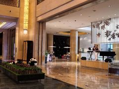 -成都保利公园皇冠假日酒店(熊猫基地店)