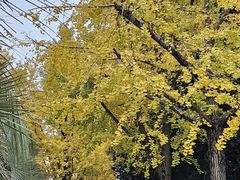 -苏州河梦清园环保主题公园