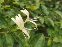 -公寓家常菜馆(海军博物馆店)