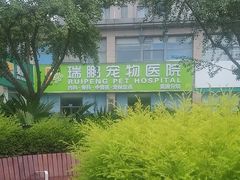 -瑞鹏宠物医院·内科·中兽医·骨科(苗圃店)
