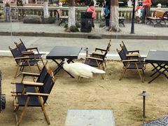 -J Create城市露营咖啡·简餐·宠物(上海动物园店)