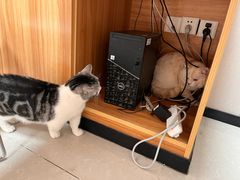 -瑞鹏宠物医院(大运分院)