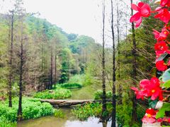 -云溪植物园