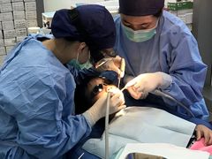 -上海康怡口腔门诊部Alpha Dental