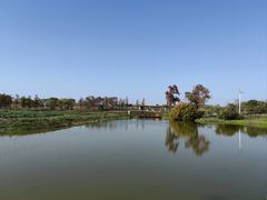 -宁波杭州湾国家湿地公园
