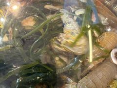 -船梆煮•蒸汽海鲜·炉火烤肉(五四广场店)