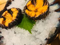 活海胆刺身-悦和餐厅(CBD玉米楼店)