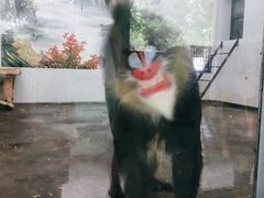 -西安秦岭野生动物园