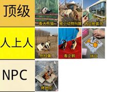 -红山体育乐园