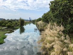 -鹤之洲湿地公园