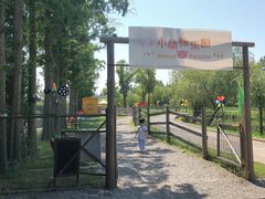 -前小桔亲子创意农场·草莓采摘·露营烧烤