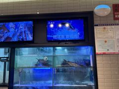 -鱼酷活鱼烤鱼(南京水游城店)