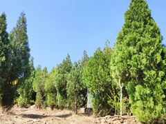 -龙洞风景区-藏龙涧