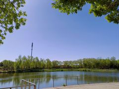 -永定河休闲森林公园