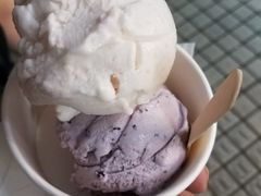 -歎雪糕低糖低脂Gelato冰淇淋