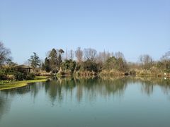 -桤木河湿地公园