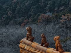 -萨尔浒风景区