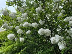-桃花岛景观公园