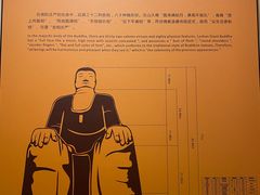 -乐山市博物馆