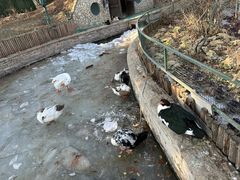 -南宫五洲植物乐园