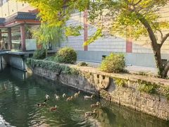 -浙江省博物馆(孤山馆区)