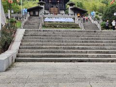 -大唐贡茶院