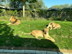-北京野生动物园