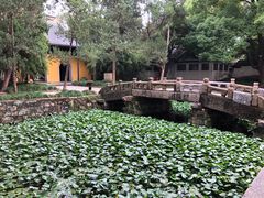 景点-无锡惠山寺