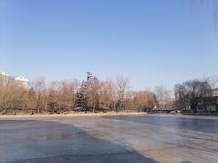 -团结湖公园