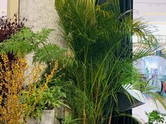 -PlantsEatery·植物食堂(REX春熙店)