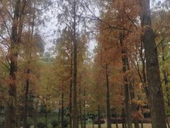 -晓港公园